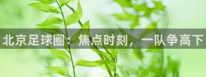 北京足球圈:焦点时刻,一队争高下