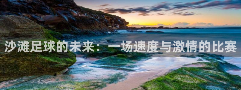 沙滩足球的未来:一场速度与激情的比赛