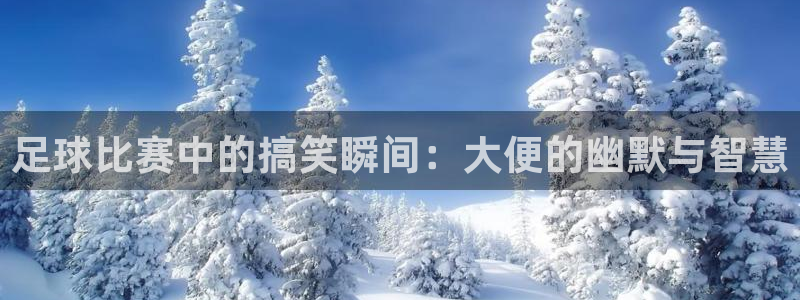 足球比赛中的搞笑瞬间:大便的幽默与智慧